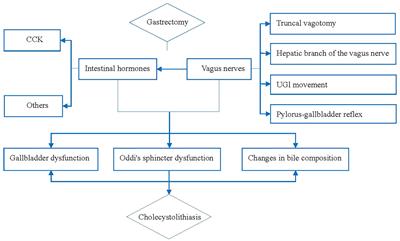 Prophylactic cholecystectomy: A valuable treatment strategy for cholecystolithiasis after gastric cancer surgery